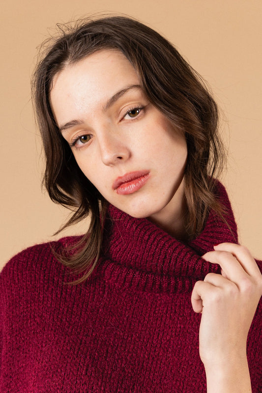 PULL COL ROULÉ PALOMA Not specified