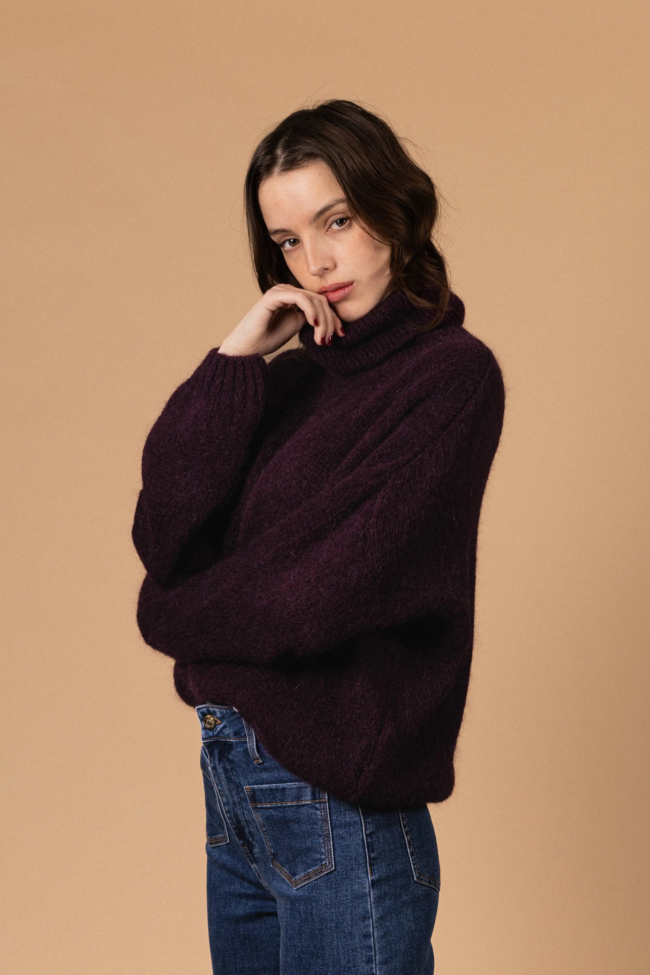 PULL COL ROULÉ PALOMA Not specified