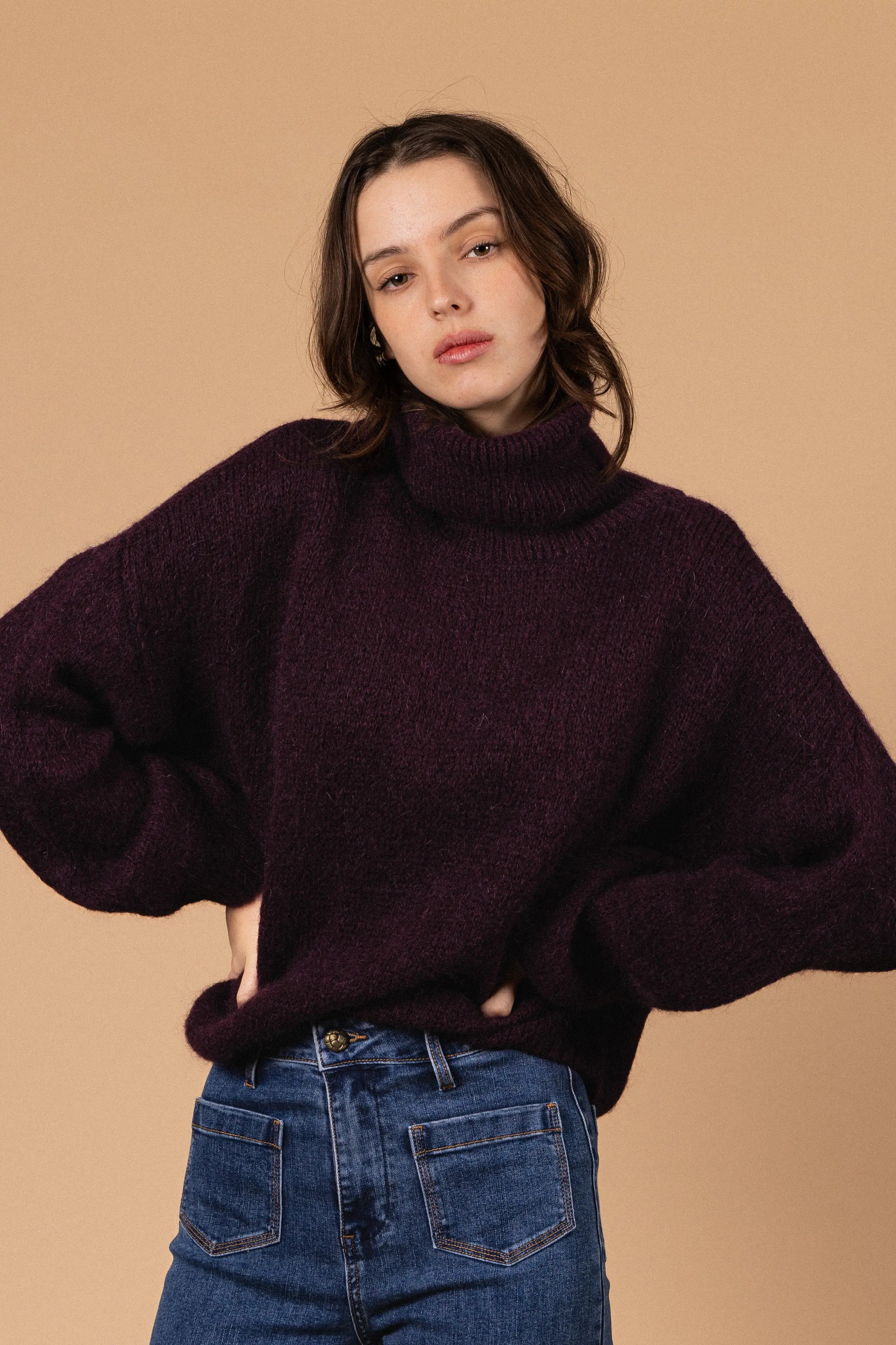 PULL COL ROULÉ PALOMA Not specified