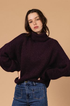 PULL COL ROULÉ PALOMA Not specified