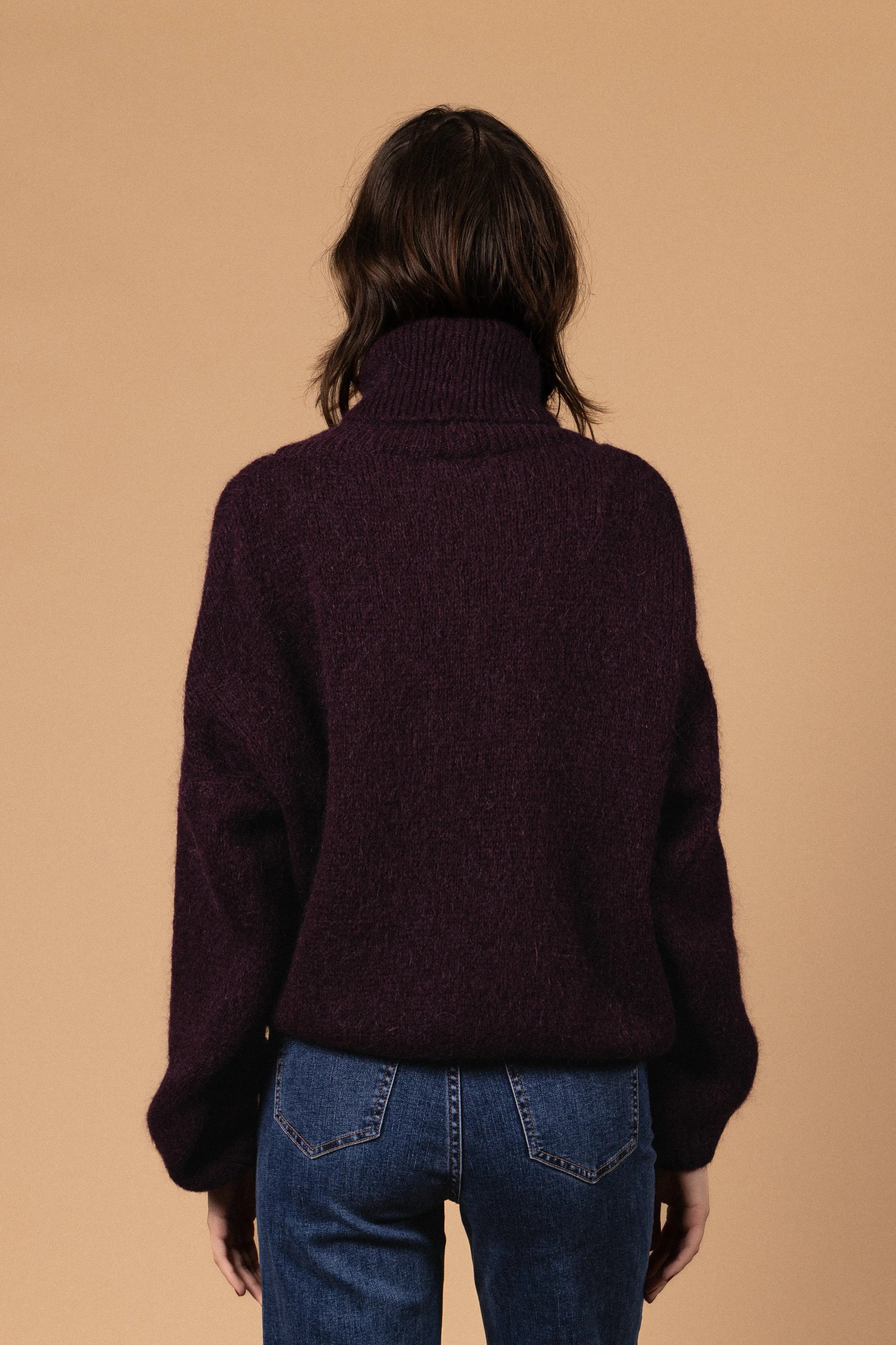 PULL COL ROULÉ PALOMA Not specified