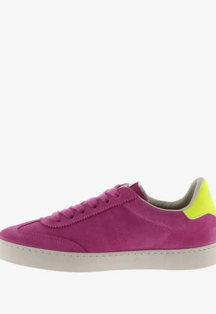 basket 1126200 RDG