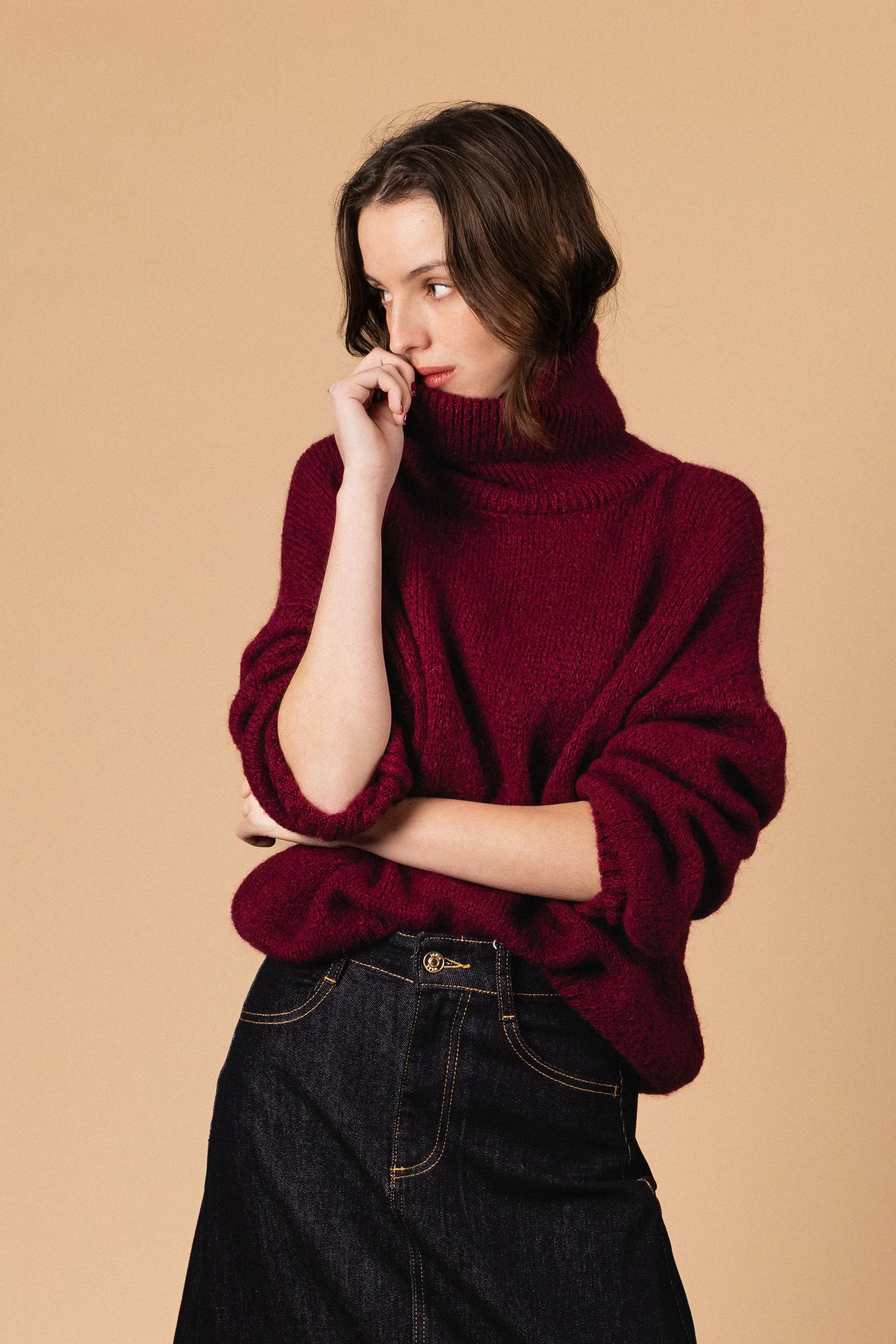 PULL COL ROULÉ PALOMA Not specified