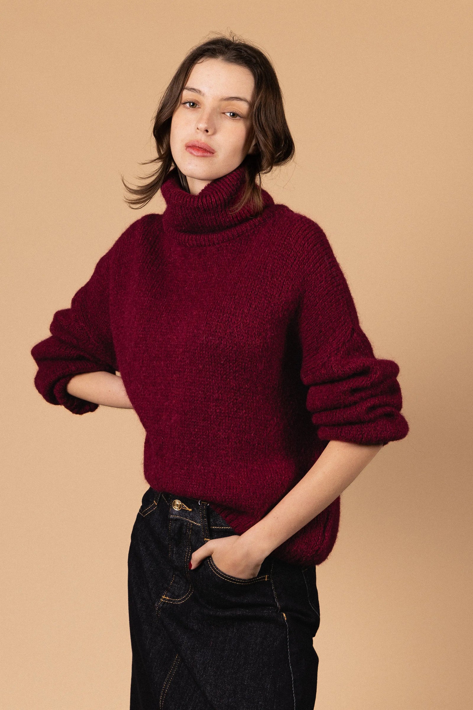 PULL COL ROULÉ PALOMA Not specified