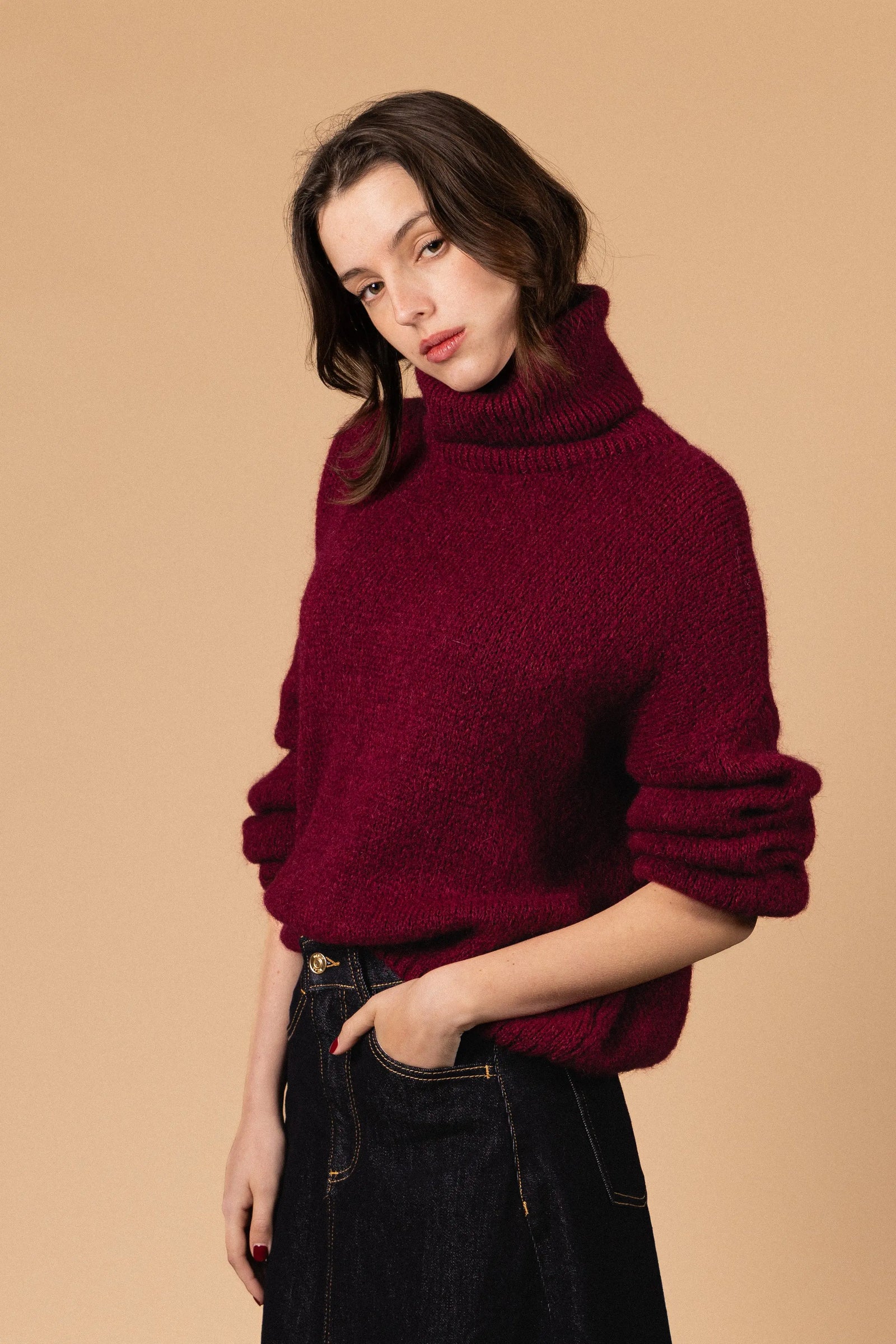 PULL COL ROULÉ PALOMA Not specified