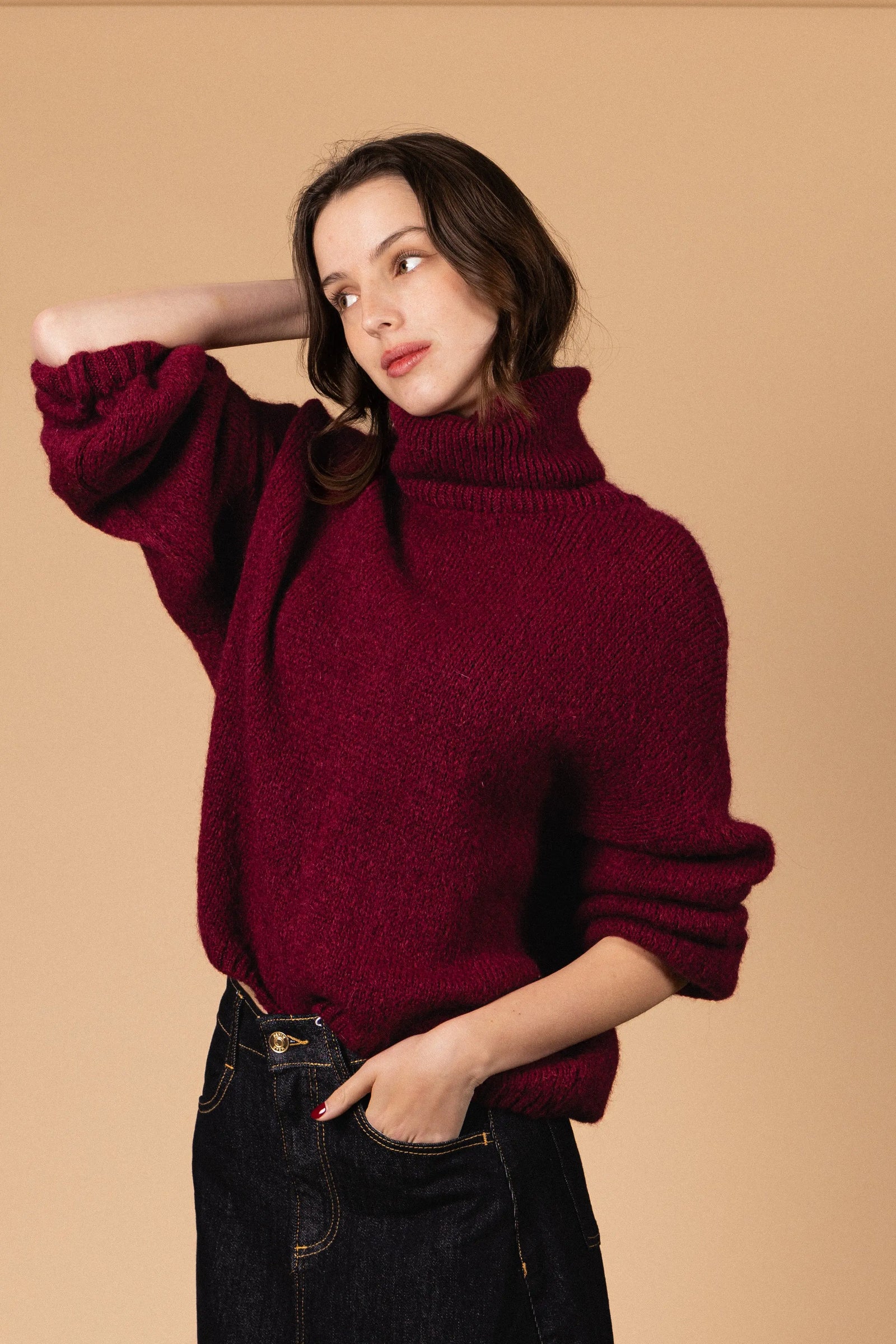 PULL COL ROULÉ PALOMA Not specified