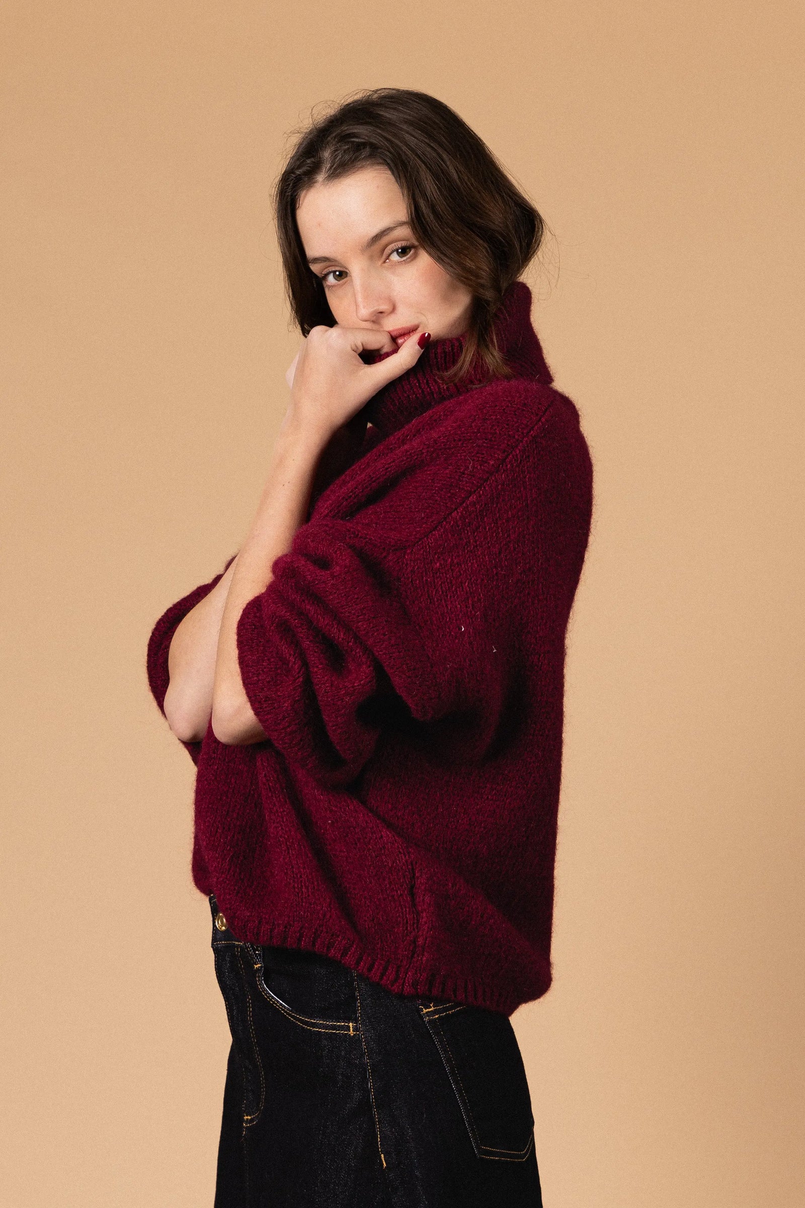 PULL COL ROULÉ PALOMA Not specified