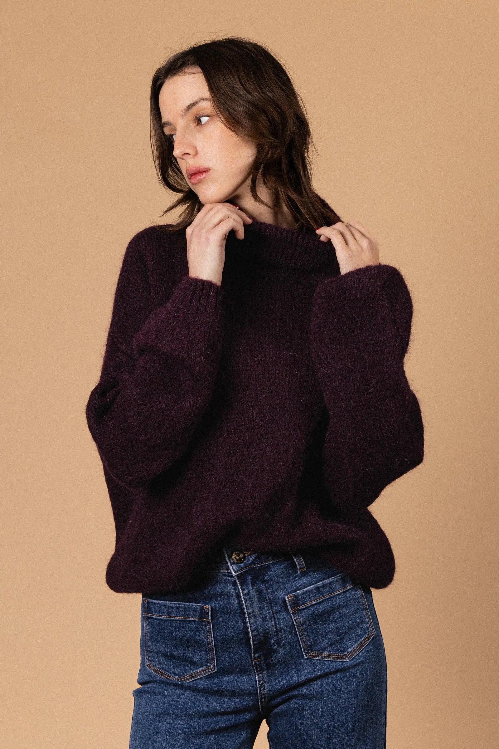 PULL COL ROULÉ PALOMA Not specified