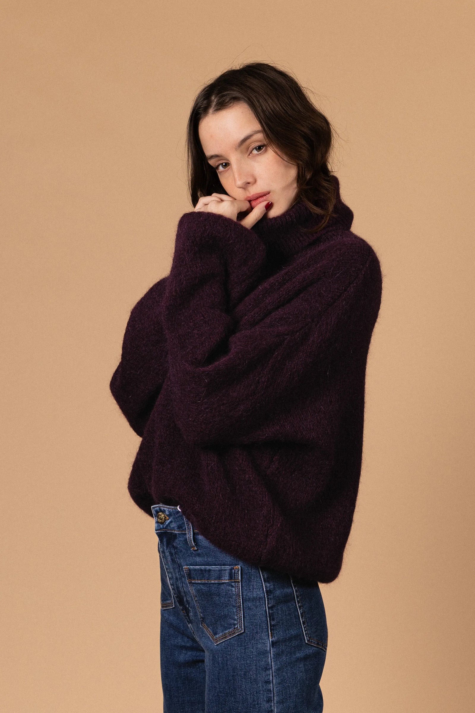 PULL COL ROULÉ PALOMA Not specified