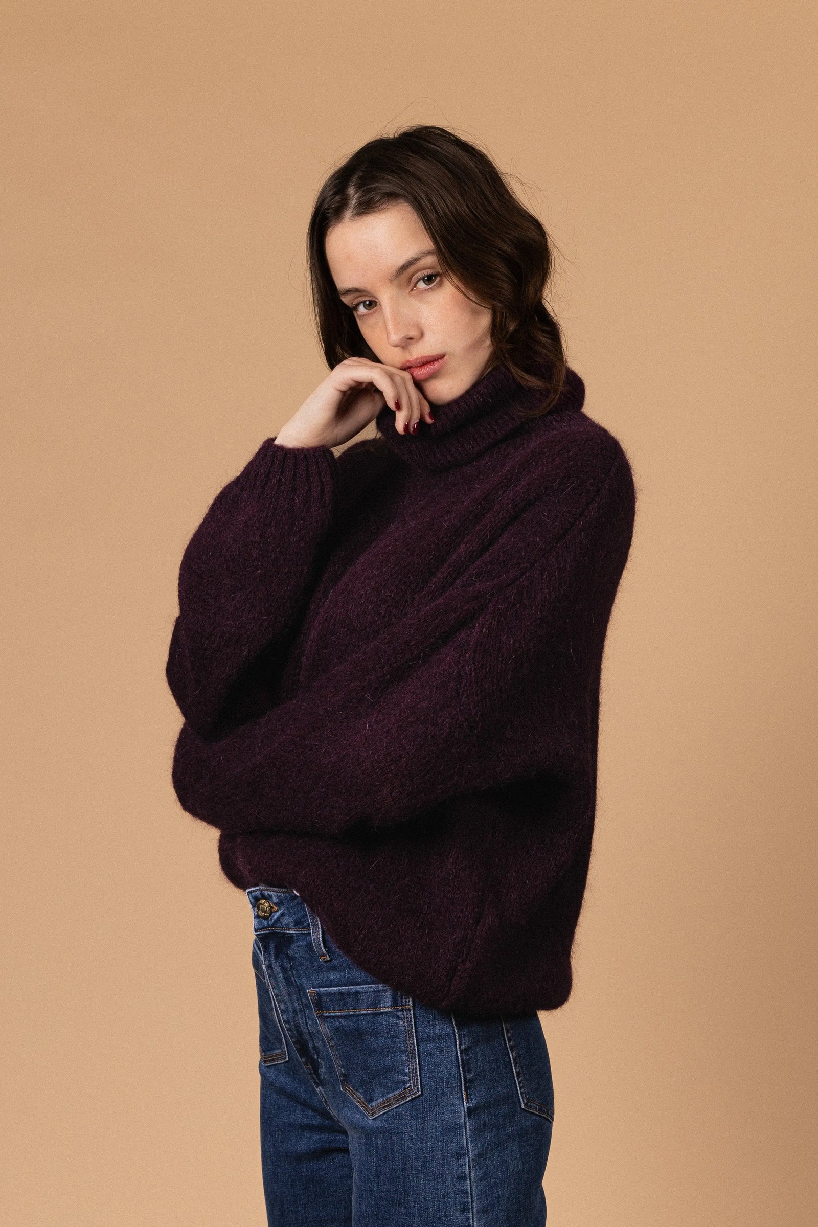 PULL COL ROULÉ PALOMA Not specified