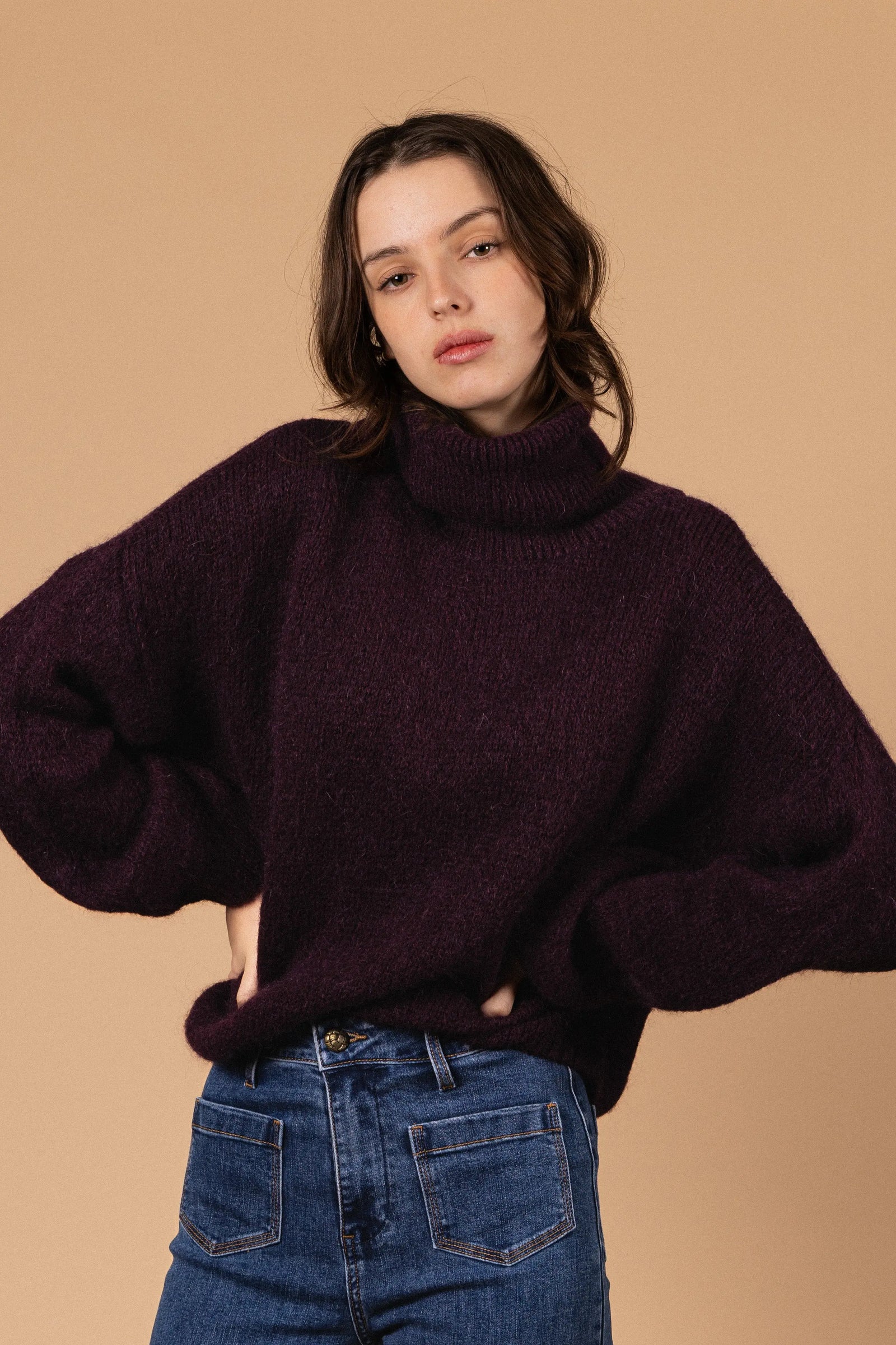 PULL COL ROULÉ PALOMA Not specified