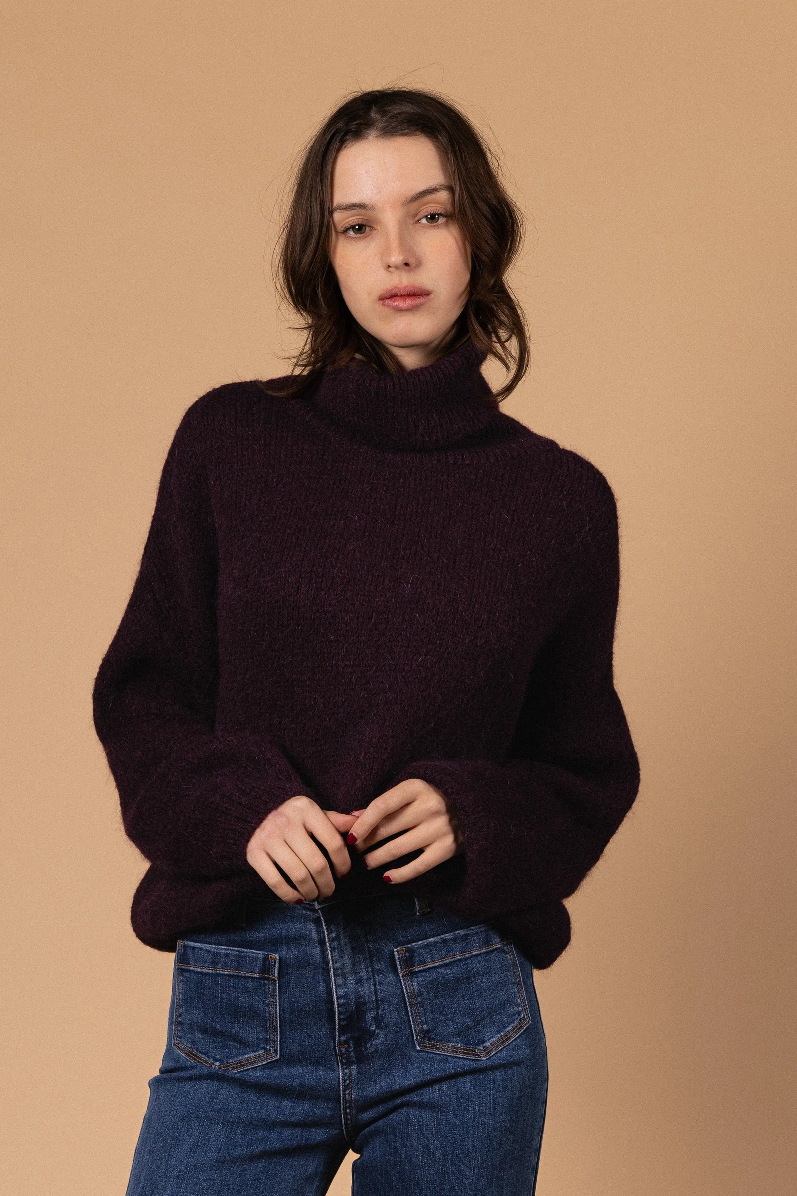 PULL COL ROULÉ PALOMA Not specified