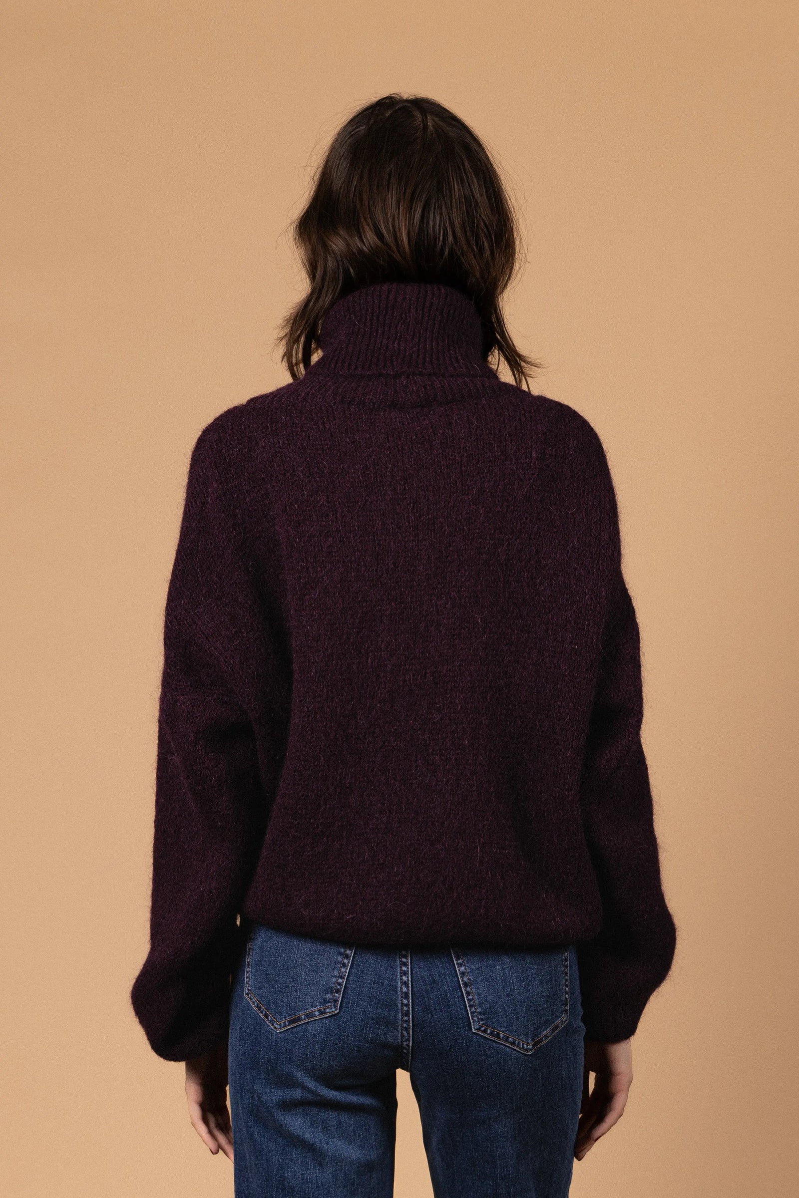 PULL COL ROULÉ PALOMA Not specified